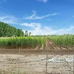 Spacious Mansion In With Garden Prázdninový dům Swolgen