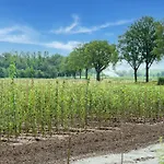 Prázdninový dům Spacious Mansion In With Garden Swolgen