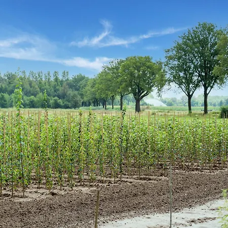 Holiday home Spacious Mansion In With Garden Swolgen