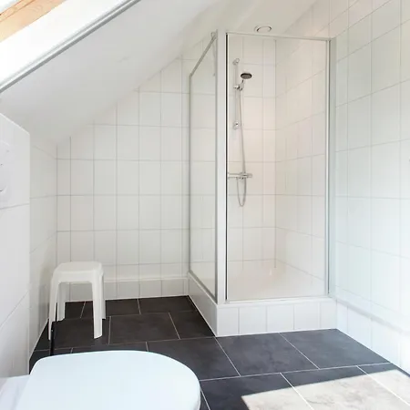 Spacious Mansion In With Garden Holiday home Swolgen