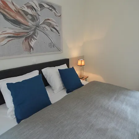 Spacious Mansion In With Garden