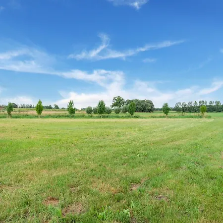 Spacious Mansion In With Garden *