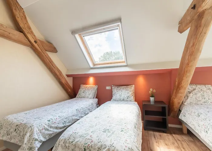 Spacious Mansion In With Garden