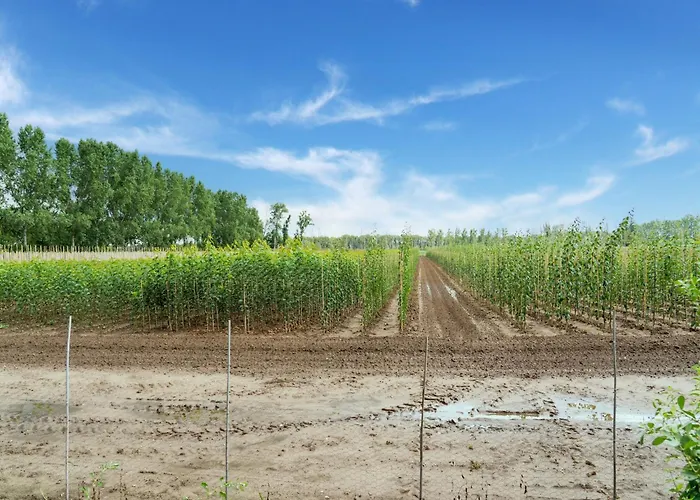 Spacious Mansion In With Garden Holiday home Swolgen