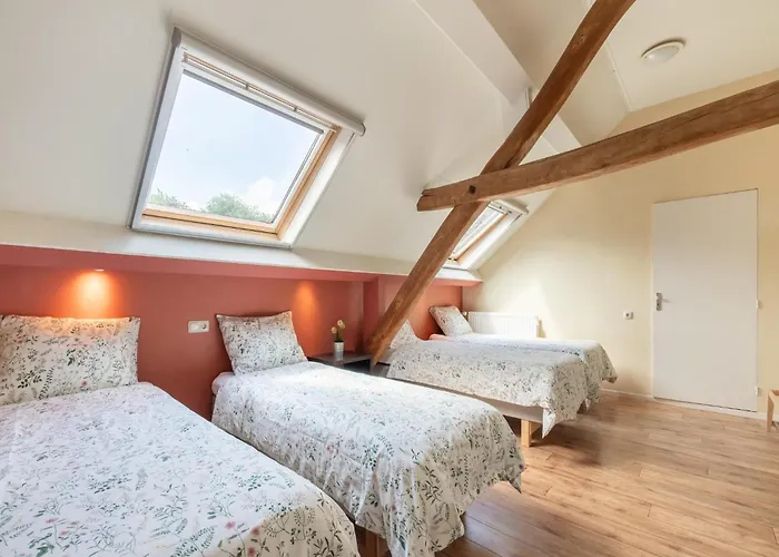 Spacious Mansion In With Garden