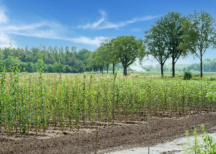 בית נופש Spacious Mansion In With Garden Swolgen