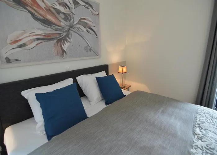 Spacious Mansion In With Garden